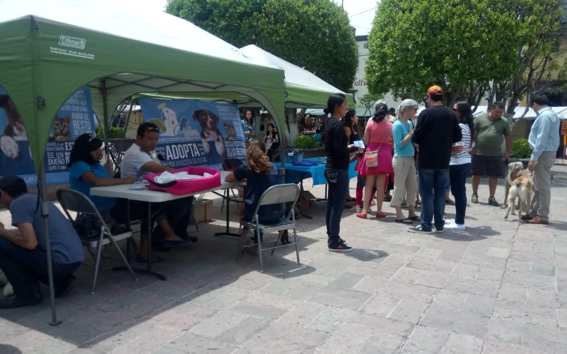 Llevan a cabo jornada de adopción de mascotas. Foto Monsetrrat García